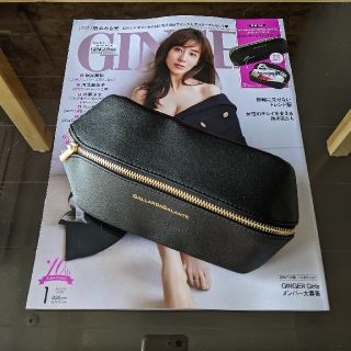 ガリャルダガランテ(GALLARDA GALANTE)の【付録&雑誌本体】GINGER　1月号　ジンジャー　田中みな実(ファッション)