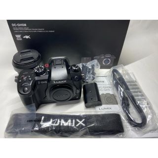Panasonic LUMIX GH5 標準ズームレンズキット 美品