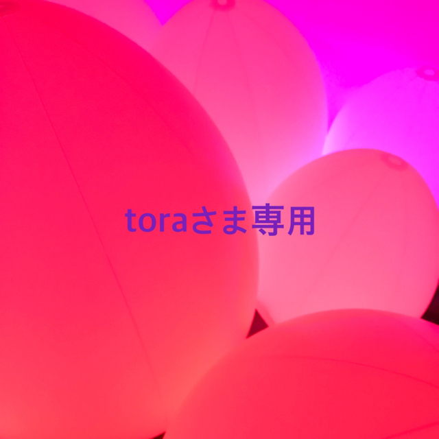 ★ toraさま専用★Demodee デモデ　限定　コラボ　チャーム