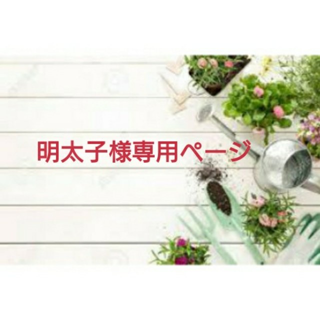 Melvita - 専用ページ☆メルヴィータ の通販 by ぽんた's shop(鳥用品