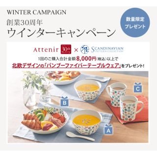 アテニア(Attenir)のアテニア バンブーファイバーテーブルウェア フルセット スカンディナヴィアン(食器)