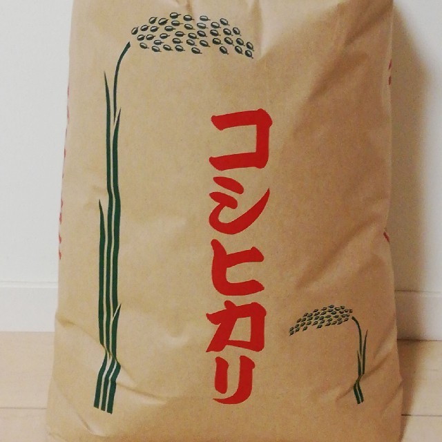 【コシヒカリ】精米10kg
格安訳あり令和元年産新米  食品/飲料/酒の食品(米/穀物)の商品写真