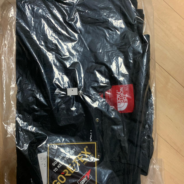 Supreme(シュプリーム)のSupreme19SS North Face Mountain Parka  メンズのジャケット/アウター(マウンテンパーカー)の商品写真