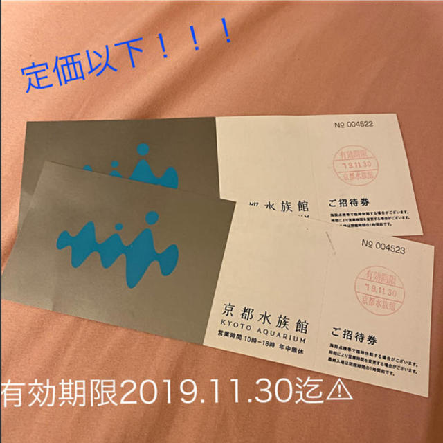 京都水族館 ペアチケット🐟 チケットの施設利用券(水族館)の商品写真