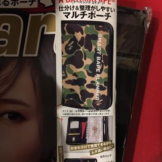 アベイシングエイプ(A BATHING APE)のsmart付録　(その他)