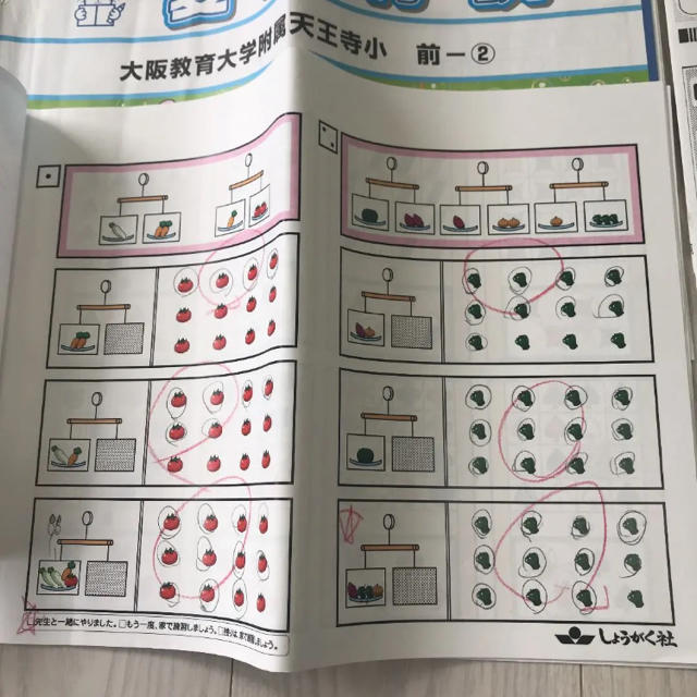 しょうがくしゃ 夏期特訓 大阪教育大学附属天王寺小学校 前期の通販 By しぃ S Shop ラクマ