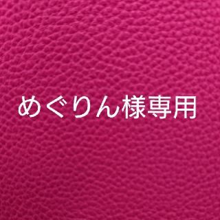 めぐりん様専用　再発送送料(その他)