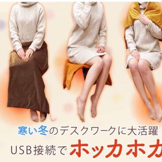 新品◆USBブランケット 洗濯可 ひざ掛け電気毛布(電気毛布)