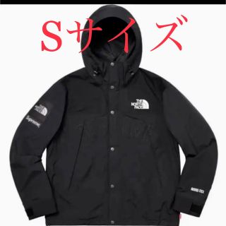 シュプリーム(Supreme)のsupreme north face mountain parka sサイズ(マウンテンパーカー)