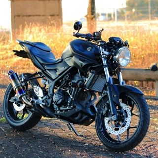 ヤマハ MT-25 (2017年式) カスタム多数 低走行-eastgate.mk