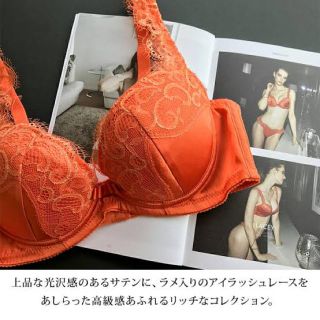 ブラデリスニューヨーク(BRADELIS New York)の送料込み‼新品未使用ブラデリスB65(ブラ)