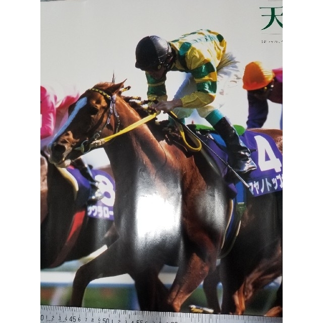 ☆非売品 マヤノトップガン サクラローレル マーベラスサンデー 競馬