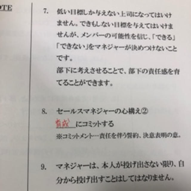 値下げ‼️頂点への道/プロフェッショナルセールスマネージャー