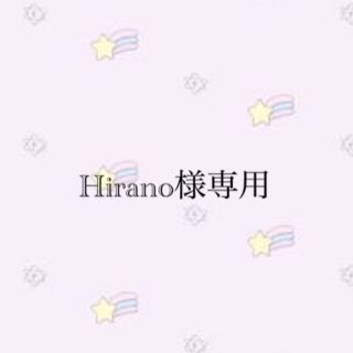 Hirano様専用(その他)