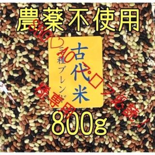 SHO♡AO プロフ必読！様専用 古代米3種ブレンド　愛媛県産　800ｇ×2(米/穀物)