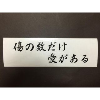 傷の数だけ愛がある 車 カッティングステッカー(車外アクセサリ)