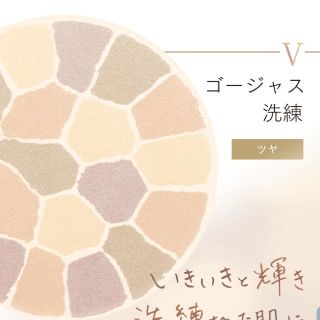 Elegance　ラプードルオートニュアンス　リクイーズ　V