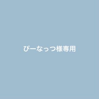 ぴーなっつ様専用(その他)