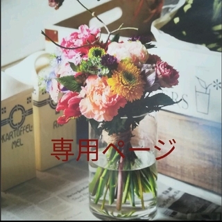 Mai♡様専用ページ　紫陽花と木の実のドライフラワーリース(リース)