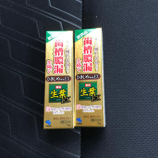 コバヤシセイヤク(小林製薬)の生葉EX 試供品　10gx2本セット(歯磨き粉)