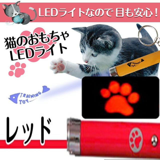 猫 LED ポインター ブルー レッド 点灯 運動 ストレス発散 光 その他のペット用品(猫)の商品写真