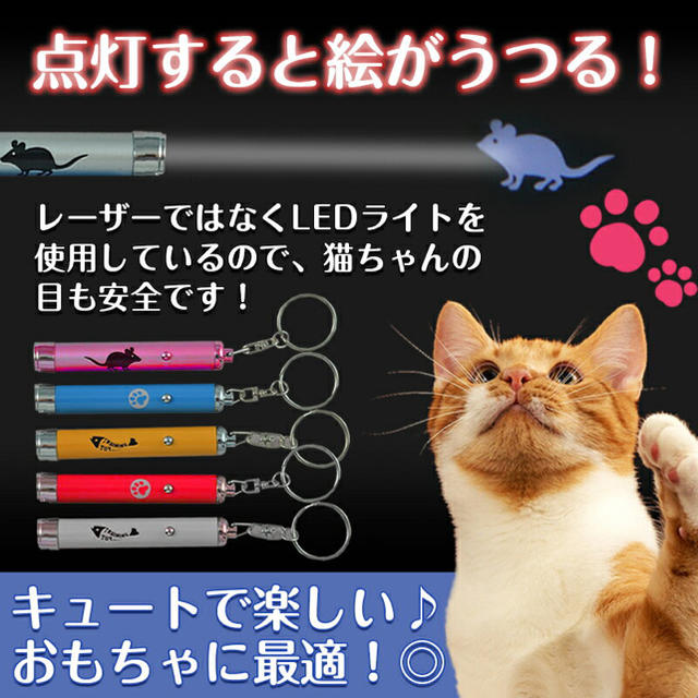 猫 LED ポインター ブルー レッド 点灯 運動 ストレス発散 光 その他のペット用品(猫)の商品写真