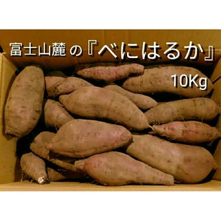 富士山麓のサツマイモ『べにはるか』10Kg　農薬不使用S10191117(野菜)