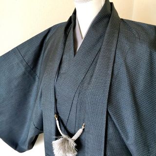 みぃ様専用　男物 本場大島紬アンサンブル 100亀甲 長襦袢付(着物)