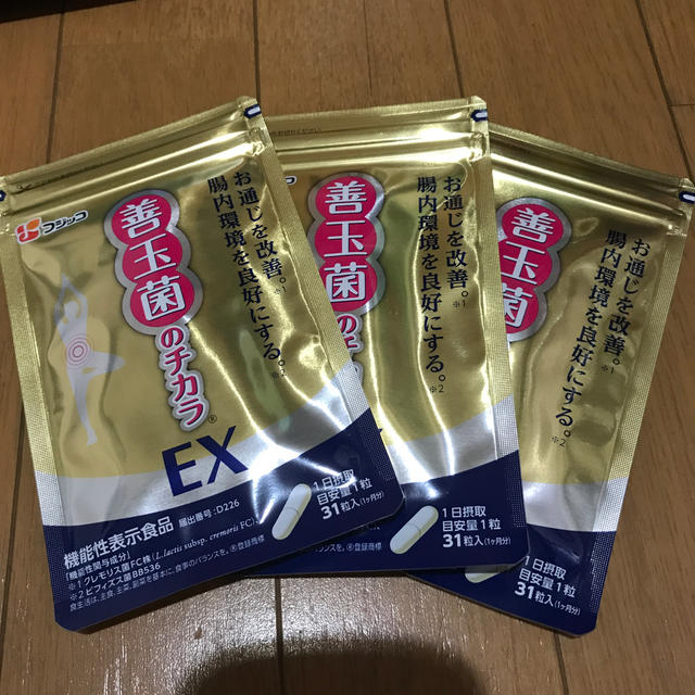 善玉菌のチカラEX 3袋 - その他