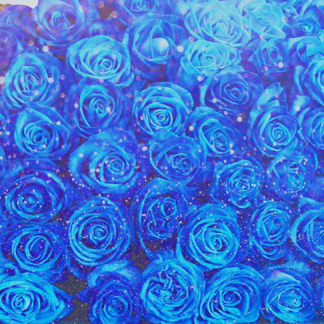 Blue Rose様専用 今市隆二 - 通販 - olbi.com