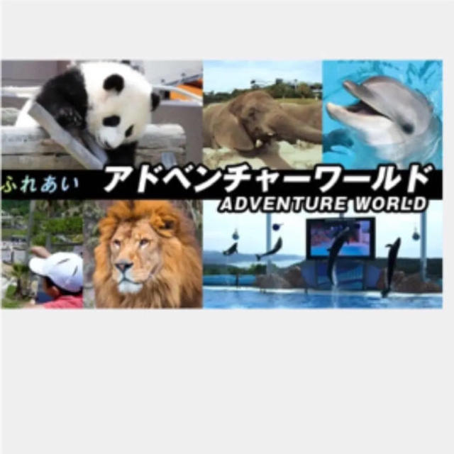アドベンチャーワールド 招待券付き 宿泊 割引券 チケットの優待券/割引券(その他)の商品写真