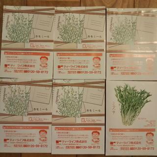 ティーライフ(Tea Life)の花・野菜の種6袋セット(ドライフラワー)