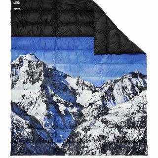 シュプリーム(Supreme)の新品 Supreme×The North Face Mountain(マウンテンパーカー)