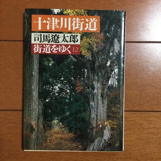 アサヒシンブンシュッパン(朝日新聞出版)の街道をゆく １２  十津川街道(ノンフィクション/教養)