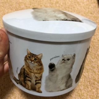 カルディ(KALDI)のカルディ   猫缶のみ(容器)