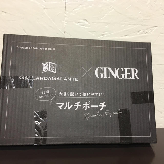 GALLARDA GALANTE(ガリャルダガランテ)のGINGER付録 レディースのファッション小物(ポーチ)の商品写真