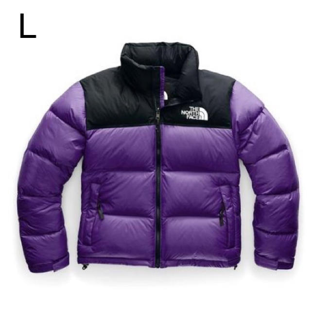 THE NORTH FACE - 海外限定 ノースフェイス 1996 レトロ ヌプシ ダウン