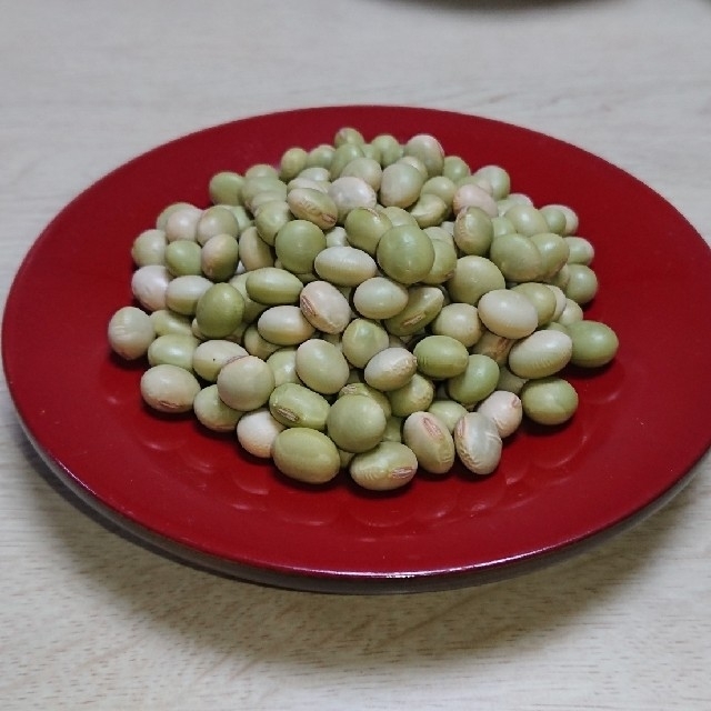 令和元年産　秘伝豆　山形県産3キロ