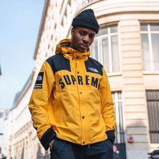 シュプリーム(Supreme)のThe North Face Arc Logo Mountain Parka(マウンテンパーカー)