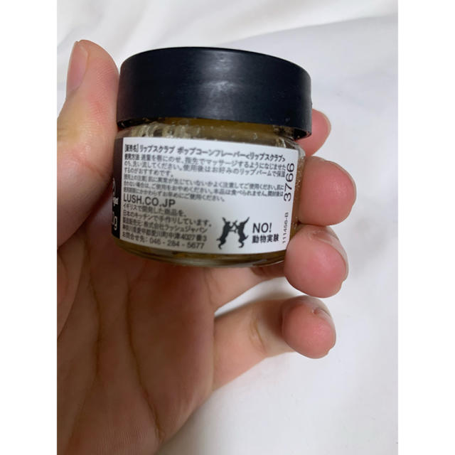 LUSH(ラッシュ)のリップスクラブ コスメ/美容のスキンケア/基礎化粧品(リップケア/リップクリーム)の商品写真