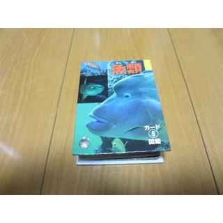 魚図鑑　カードタイプ(その他)