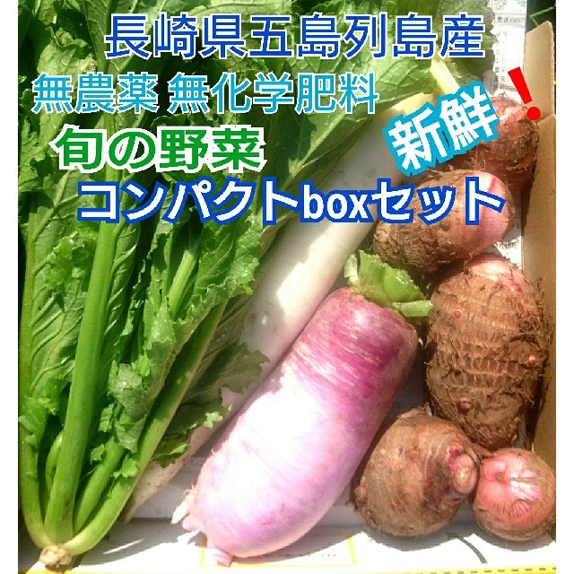 無農薬❗新鮮野菜セット〈コンパクトbox〉(ラインナップのこ確認を) 五島列島産 食品/飲料/酒の食品(野菜)の商品写真
