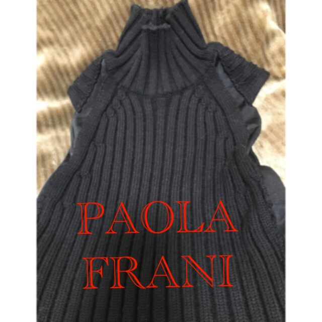 PAOLA FRANI(パオラフラーニ)の#ポ片付け　PAOLA FRANI knit high neck 38 レディースのトップス(ニット/セーター)の商品写真