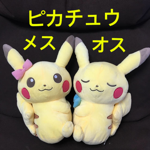 ポケモン レア ピカチュウ オス メス ぬいぐるみ ポケットモンスターの通販 By 大福 ポケモンならラクマ