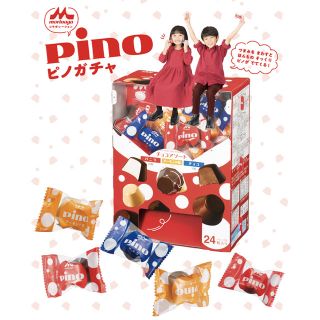 ショウガクカン(小学館)の幼稚園 2019年12月号 付録 pino ピノガチャ(キャラクターグッズ)