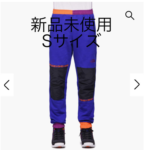 the north face rage fleece pant その他