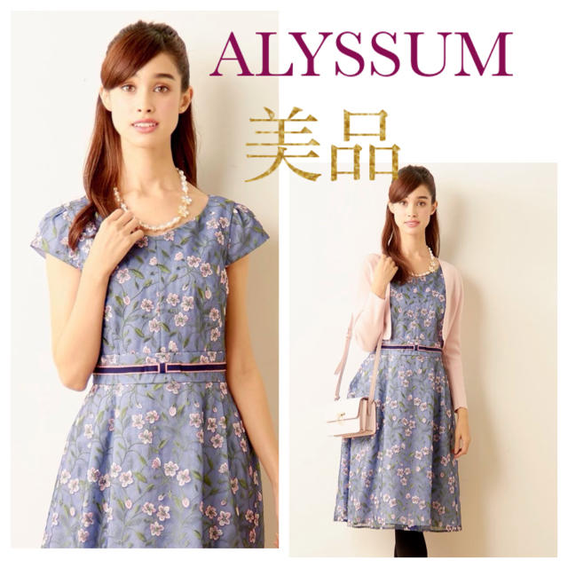 TOCCA(トッカ)のTOCCA❀* fall collection💕ALYSSUM♡定価6万円 レディースのワンピース(ひざ丈ワンピース)の商品写真