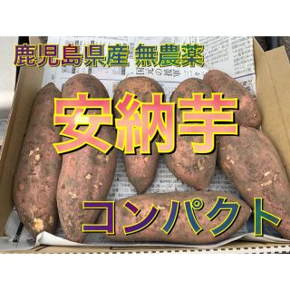 鹿児島県産 無農薬 安納芋 コンパクト(野菜)