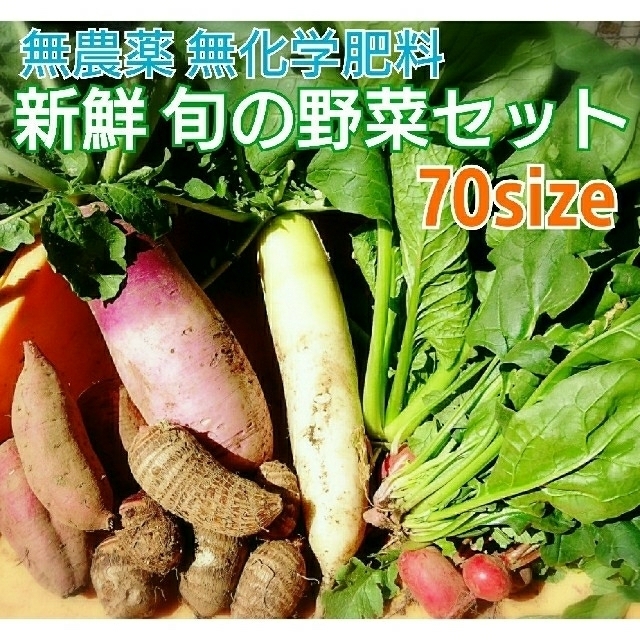 無農薬❗新鮮野菜セット(70サイズ) じゃがいもも収穫開始～ 長崎県五島列島産 食品/飲料/酒の食品(野菜)の商品写真