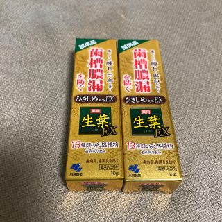 コバヤシセイヤク(小林製薬)の生葉EX 試供品　10gx2本セット(歯磨き粉)